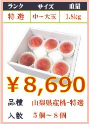 peach-2-1T