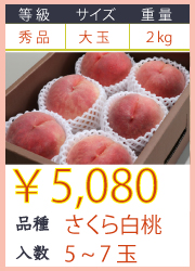 にゃんにゃんさん専用　２箱　桃　さくら白桃　規格外　5kg 産地直送 出荷：9月上旬頃から】福島県産桃 さくら白桃 2kg 5〜7玉 化粧箱