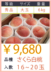 出荷：9月上旬頃から】福島県産桃 さくら白桃 6kg(3kg×2箱) 16