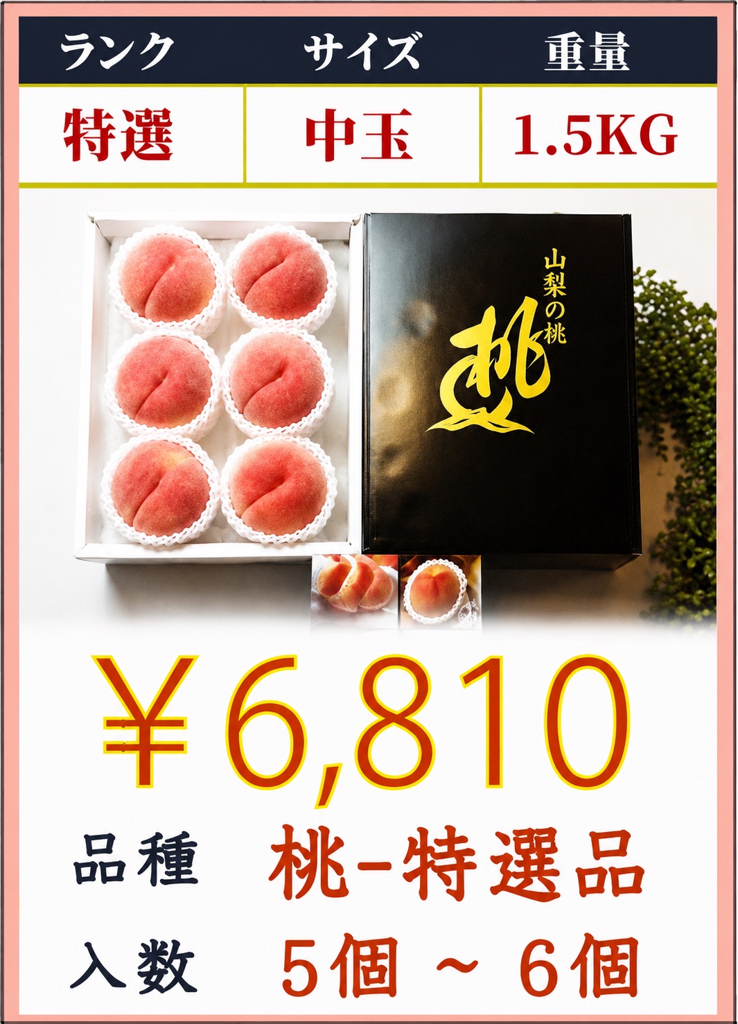 mo-0501