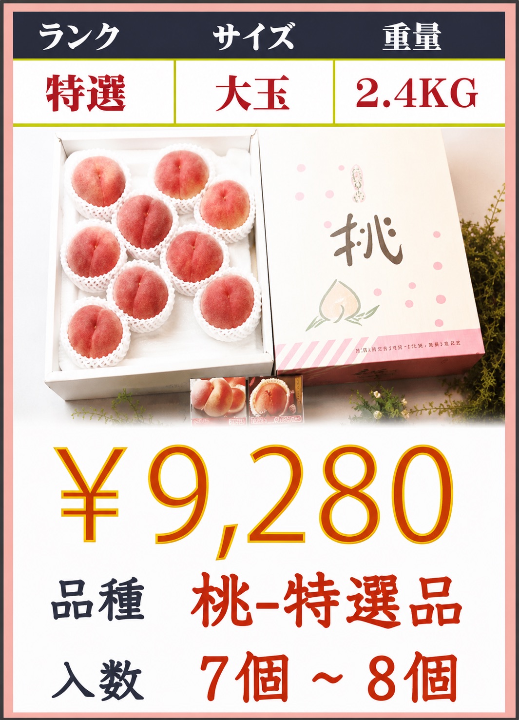 mo-0504
