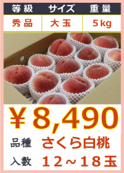 出荷：9月上旬頃から】福島県産桃 さくら白桃 5kg 12〜118玉 段ボール